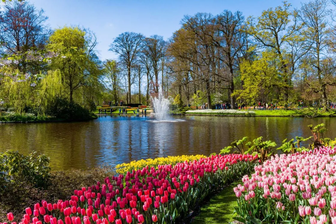 het_keukenhof_park_met_tu_0.webp Clearance Het Keukenhof park met tulpen fotobehang Steden | Architectuur