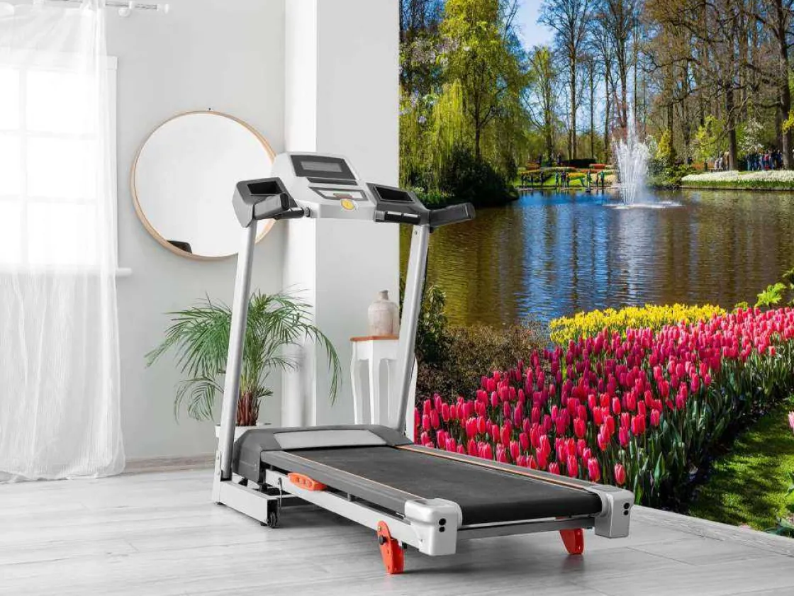 het_keukenhof_park_met_tu_5.webp Clearance Het Keukenhof park met tulpen fotobehang Steden | Architectuur