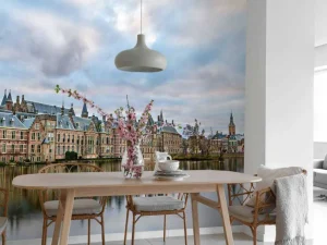 Online Hofvijver in Den Haag fotobehang Steden | Architectuur