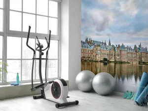 Online Hofvijver in Den Haag fotobehang Steden | Architectuur