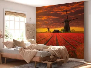Best Hollands tulpenveld onder een rode lucht fotobehang Steden | Architectuur