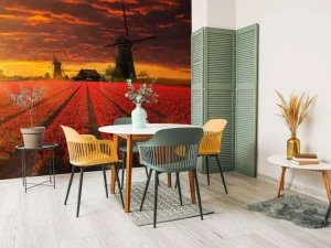 Best Hollands tulpenveld onder een rode lucht fotobehang Steden | Architectuur