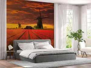 Best Hollands tulpenveld onder een rode lucht fotobehang Steden | Architectuur