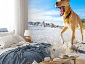 Best Hond in de zomer op het strand fotobehang Dieren