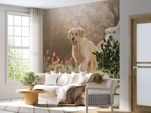 Outlet Honden in een parkje fotobehang Dieren
