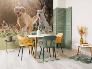 Outlet Honden in een parkje fotobehang Dieren