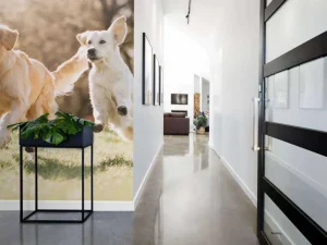 Outlet Honden in een parkje fotobehang Dieren