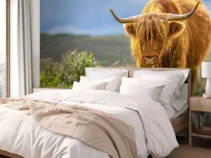 Clearance Hooglander in de weide fotobehang Dieren