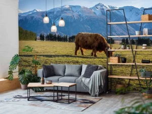 Best Hooglander met ingesneeuwde bergen fotobehang Dieren