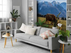 Best Hooglander met ingesneeuwde bergen fotobehang Dieren