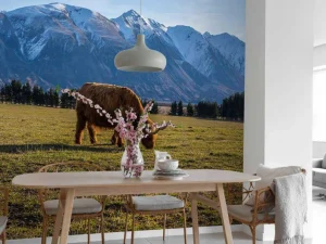 Best Hooglander met ingesneeuwde bergen fotobehang Dieren