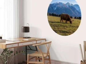 Best Hooglander met ingesneeuwde bergen fotobehang Dieren