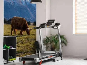 Best Hooglander met ingesneeuwde bergen fotobehang Dieren