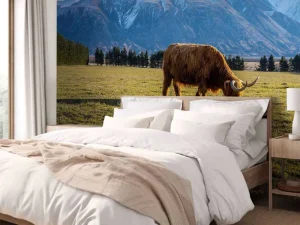 Best Hooglander met ingesneeuwde bergen fotobehang Dieren