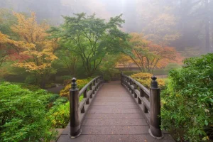 Clearance Houten brug in een Japanse tuin fotobehang Bloemen | 3d