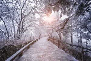 Outlet Huangshan National Park in de winter fotobehang Bloemen | Architectuur