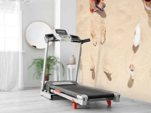 Discount Ingegraven honden op het strand fotobehang Dieren