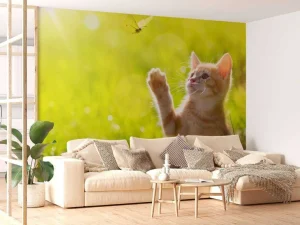 Fashion Jonge kat probeert een vlinder te vangen fotobehang Kinderkamer | Dieren