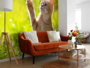 Fashion Jonge kat probeert een vlinder te vangen fotobehang Kinderkamer | Dieren