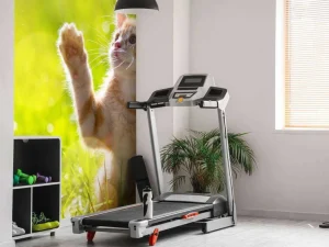 Fashion Jonge kat probeert een vlinder te vangen fotobehang Kinderkamer | Dieren