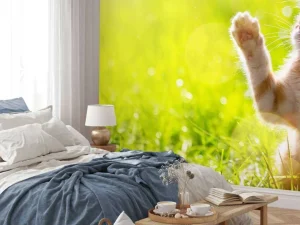 Fashion Jonge kat probeert een vlinder te vangen fotobehang Kinderkamer | Dieren