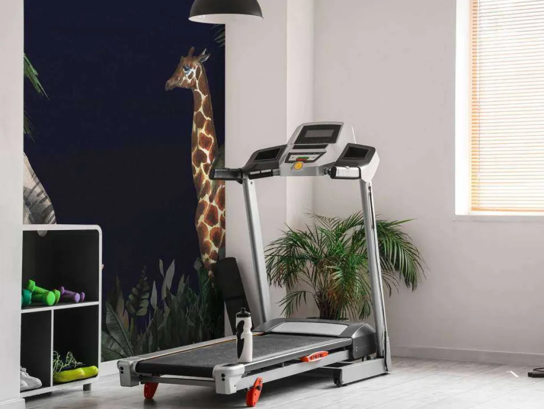 jungle_dieren_bij_nacht_9.webp Online Jungle dieren bij nacht Dieren