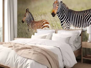 Discount Kaapse bergzebra met een veulentje fotobehang Dieren