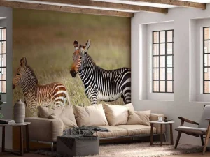 Discount Kaapse bergzebra met een veulentje fotobehang Dieren