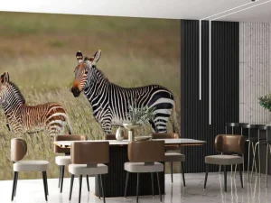 Discount Kaapse bergzebra met een veulentje fotobehang Dieren