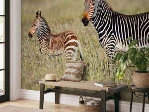 Discount Kaapse bergzebra met een veulentje fotobehang Dieren