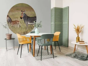 Discount Kaapse bergzebra met een veulentje fotobehang Dieren