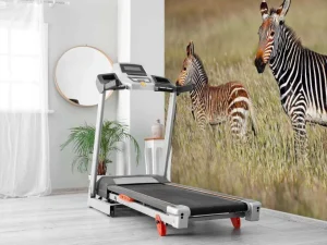 Discount Kaapse bergzebra met een veulentje fotobehang Dieren