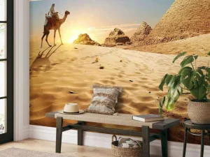 Outlet Kameel in de woestijn bij zonsondergang fotobehang Dieren