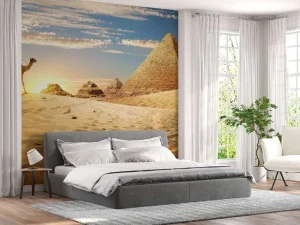 Outlet Kameel in de woestijn bij zonsondergang fotobehang Dieren