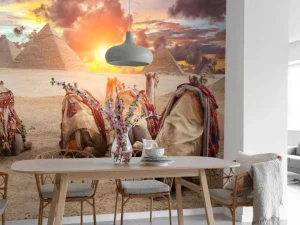Online Kamelen met de piramiden op de achtergrond fotobehang Architectuur