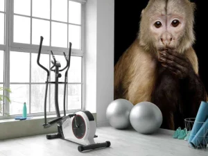 Outlet Kapucijnaap met een zwarte achtergrond fotobehang Dieren