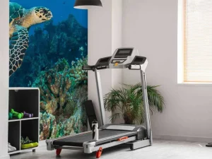 Discount Karetschildpad bij een koraalrif fotobehang Dieren