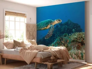 Discount Karetschildpad bij een koraalrif fotobehang Dieren