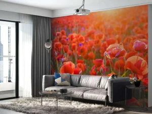 New Klaprozen close-up bij zonsondergang fotobehang Bloemen