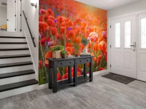 New Klaprozen close-up bij zonsondergang fotobehang Bloemen