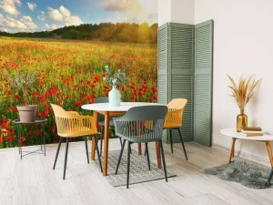 Best Klaprozen met Zonsondergang fotobehang Bloemen