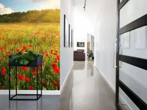 Best Klaprozen met Zonsondergang fotobehang Bloemen