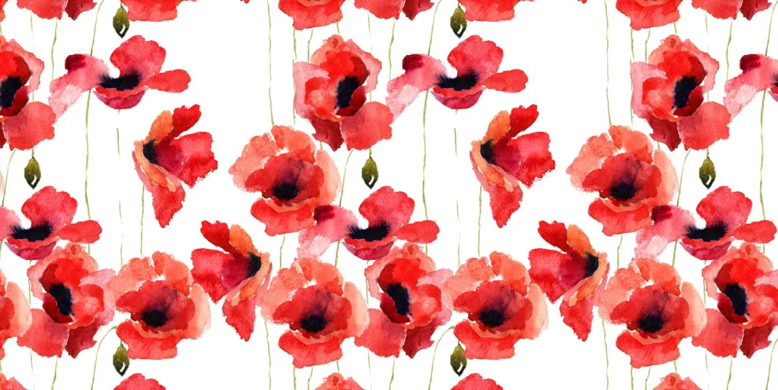 klaprozen_van_waterverf_0.webp Online Klaprozen van waterverf Bloemen