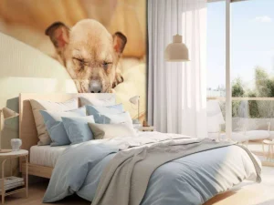 Outlet Kleine puppy slaapt op een kussen fotobehang Dieren