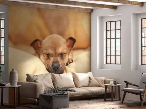 Outlet Kleine puppy slaapt op een kussen fotobehang Dieren