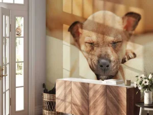 Outlet Kleine puppy slaapt op een kussen fotobehang Dieren