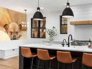 Outlet Kleine puppy slaapt op een kussen fotobehang Dieren