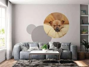 Outlet Kleine puppy slaapt op een kussen fotobehang Dieren