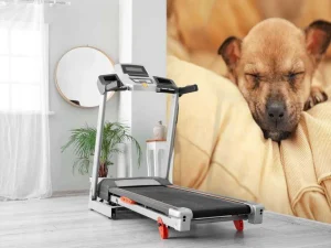 Outlet Kleine puppy slaapt op een kussen fotobehang Dieren