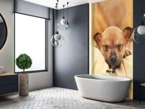 Outlet Kleine puppy slaapt op een kussen fotobehang Dieren